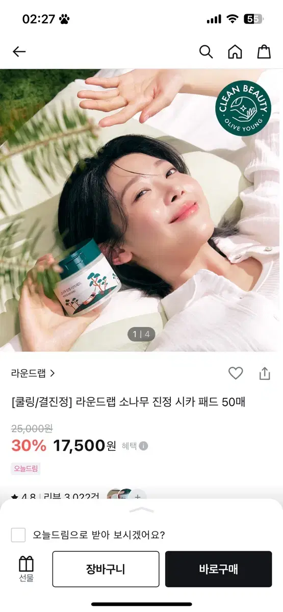 소나무 진정 시카패드